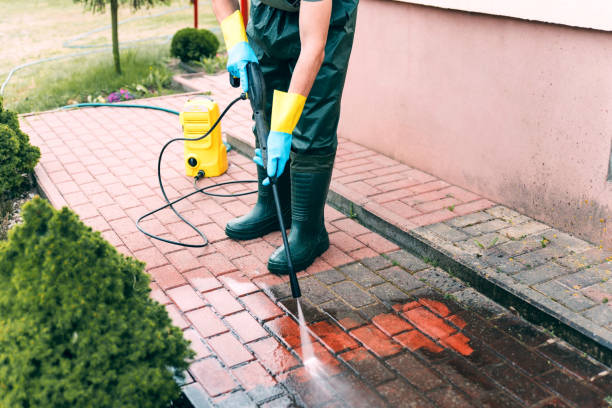 Best Solar Panel Cleaning  in Mec, CA